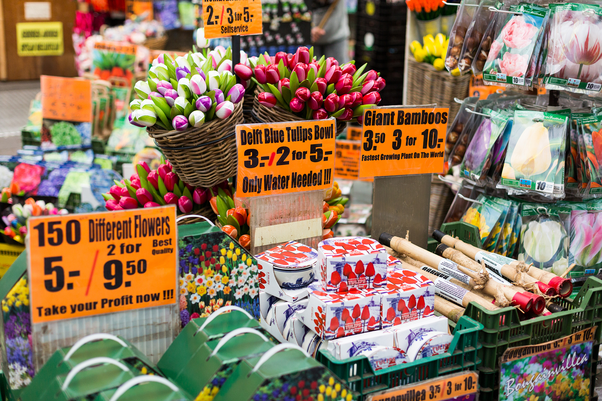 © Twycer / www.twycer.nl